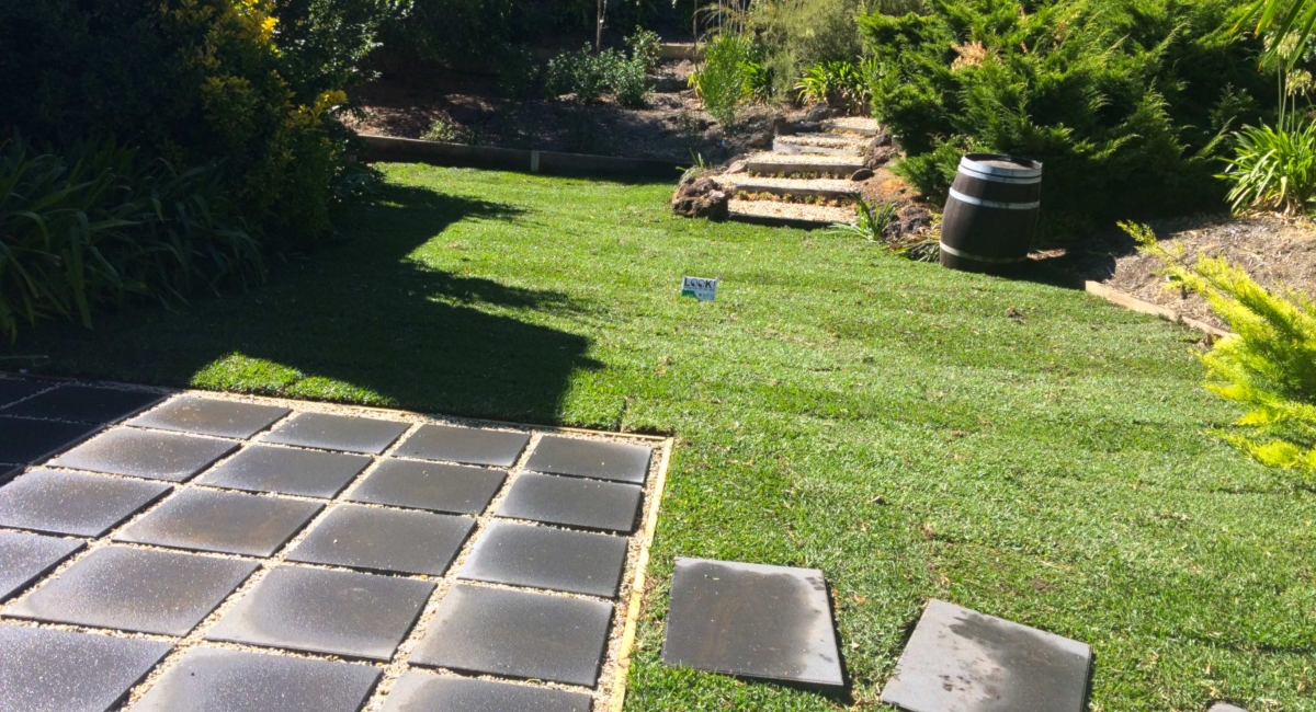 Paving & Turf